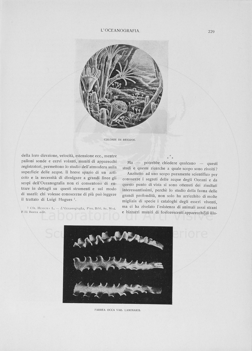 pagina