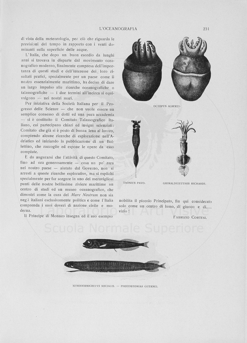 pagina
