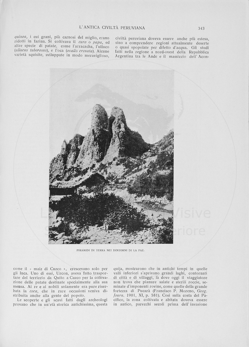 pagina