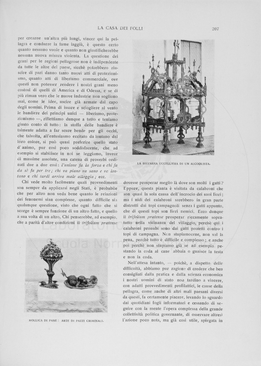 pagina