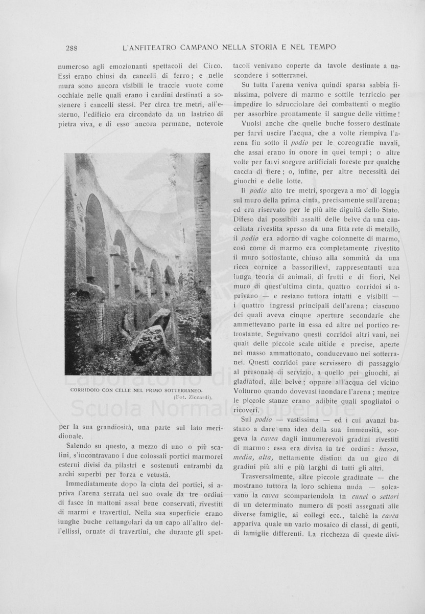 pagina