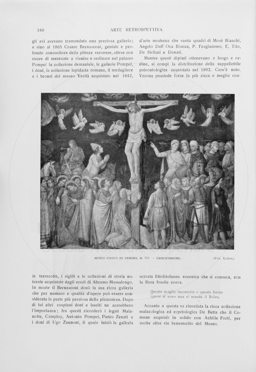 pagina